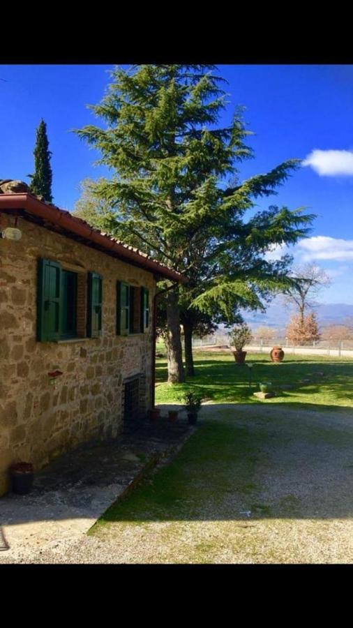 Borgo Benedetto *